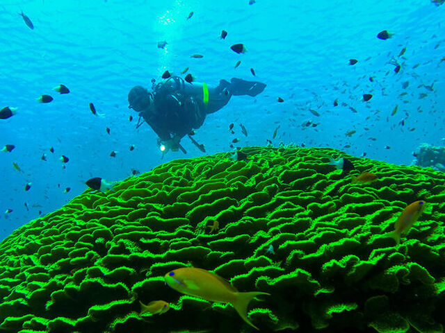 Sharm El Sheikh Turu