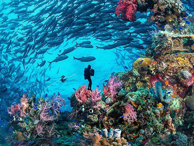 Sharm El Sheikh Turu