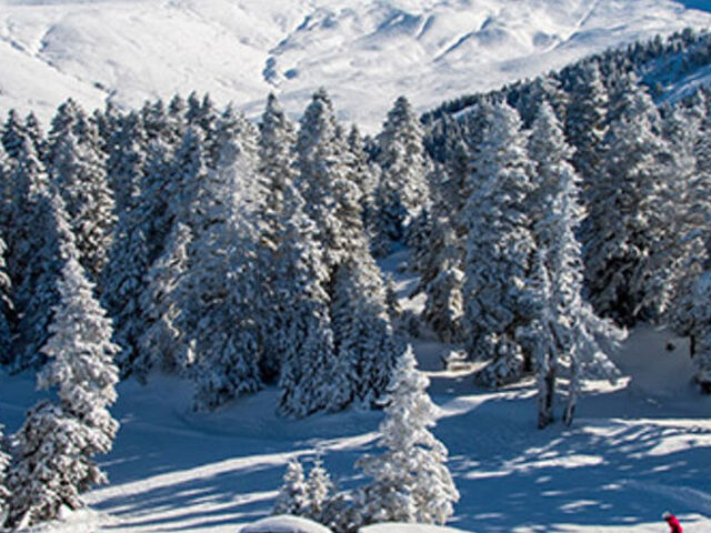 Uludağ ve Gölyazı Turu (Günübirlik)